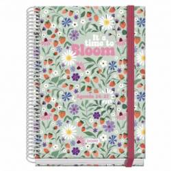 Dohe Prime Bloom Agenda...