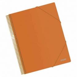 Dohe Carpeta Con 30 Fundas...
