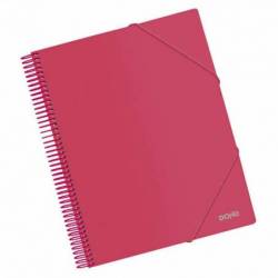 Dohe Carpeta Con 20 Fundas...