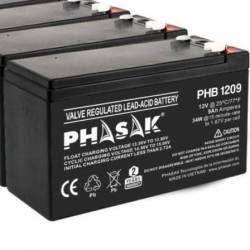 Bateria Phasak Phb 1209...