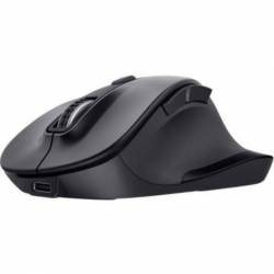 Raton Ergonomico...