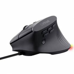 Raton Vertical Gaming...