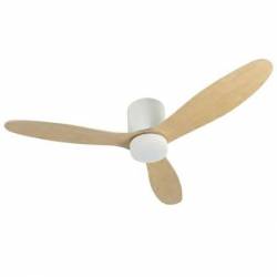 Ventilador De Techo...