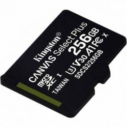 Memoria Micro Sd 256gb...