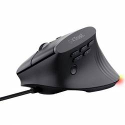 Raton Vertical Gaming...