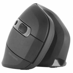 Raton Gaming Vertical...
