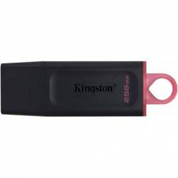 Pendrive 256gb 256 Gb...